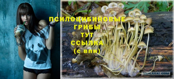 гашик Балабаново