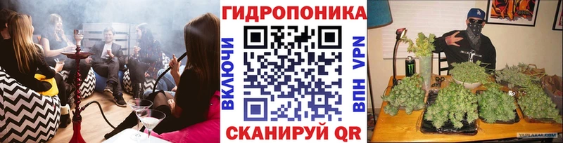 Бошки марихуана THC 21%  Старая Купавна 